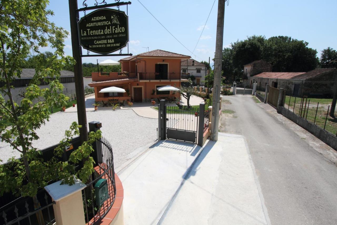 Azienda Agrituristica La Tenuta Del Falco Piedimonte San Germano Екстериор снимка