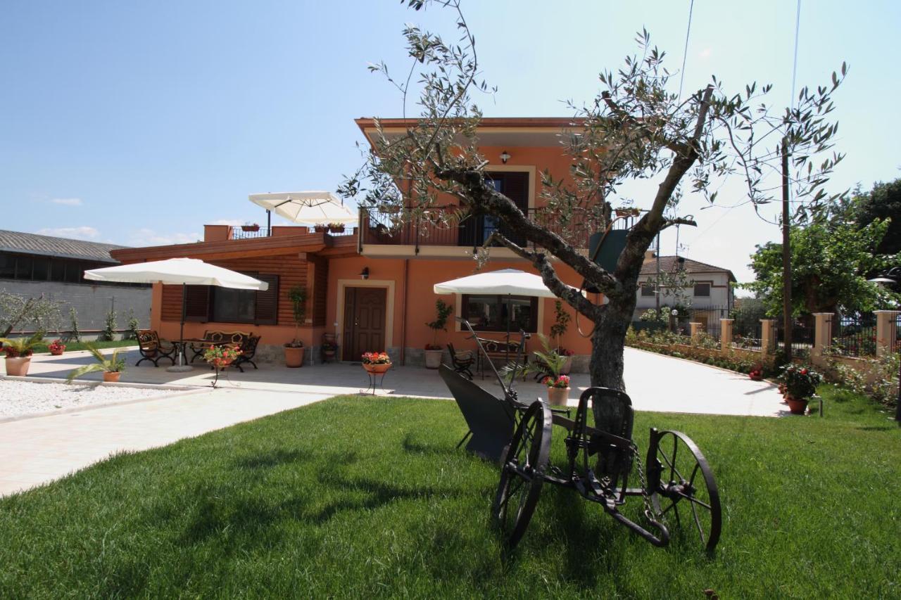Azienda Agrituristica La Tenuta Del Falco Piedimonte San Germano Екстериор снимка
