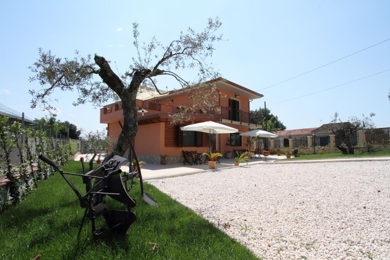 Azienda Agrituristica La Tenuta Del Falco Piedimonte San Germano Екстериор снимка