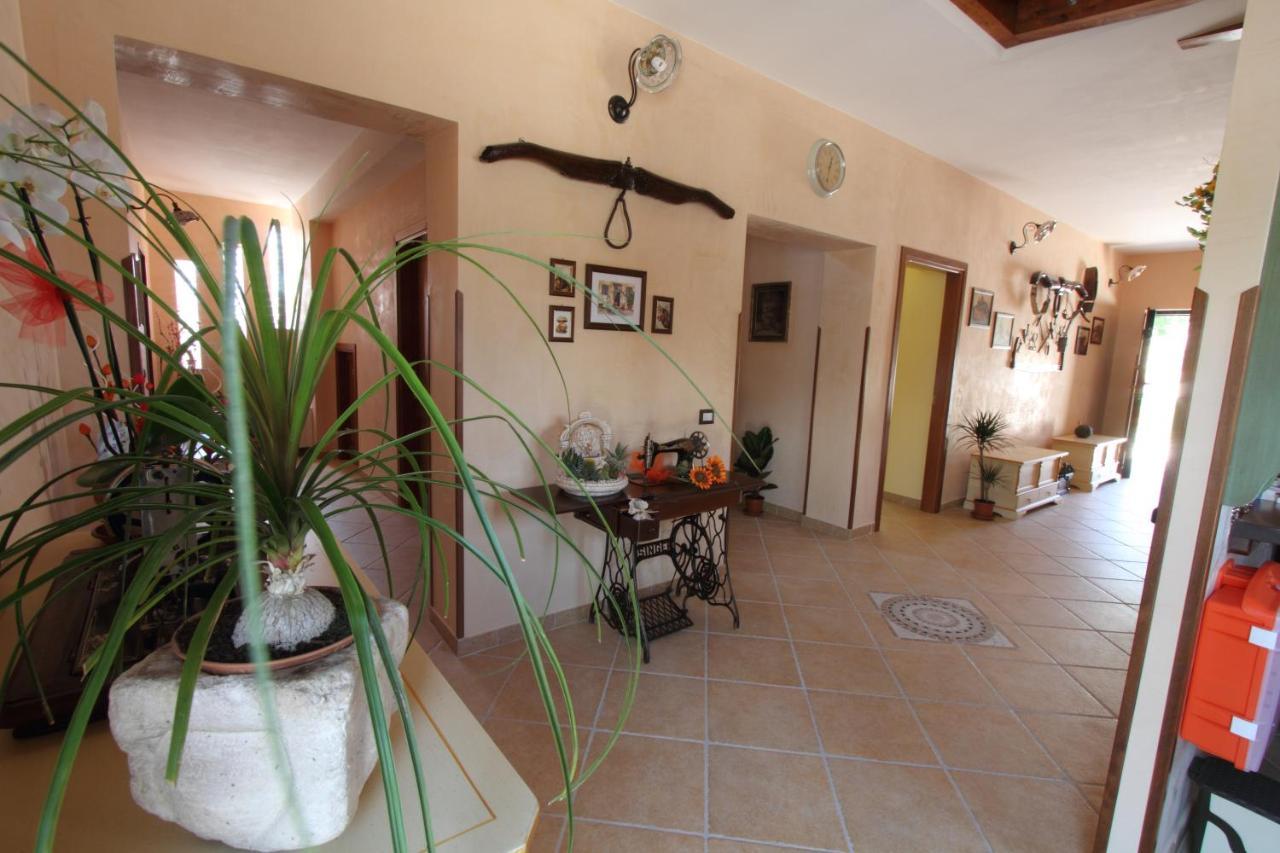 Azienda Agrituristica La Tenuta Del Falco Piedimonte San Germano Екстериор снимка