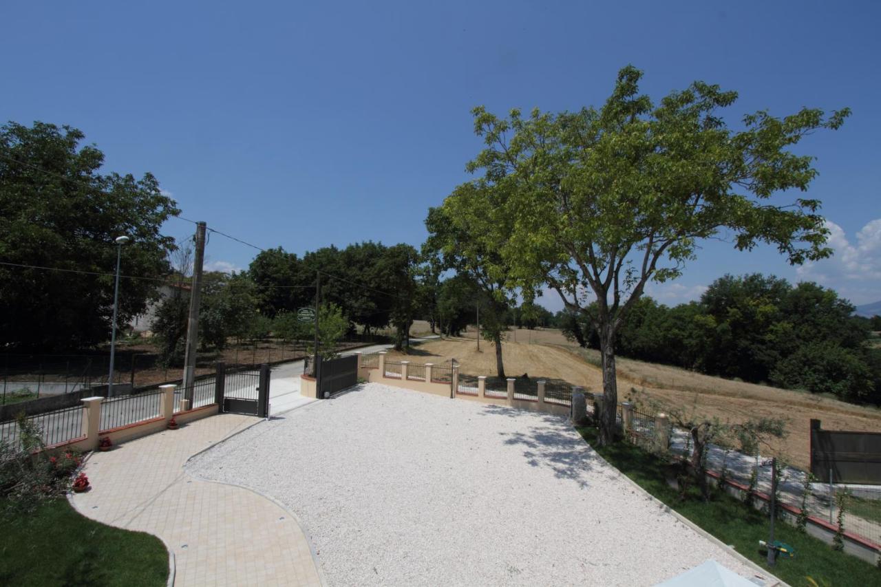 Azienda Agrituristica La Tenuta Del Falco Piedimonte San Germano Екстериор снимка