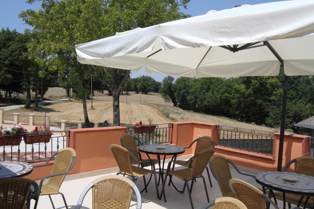 Azienda Agrituristica La Tenuta Del Falco Piedimonte San Germano Екстериор снимка